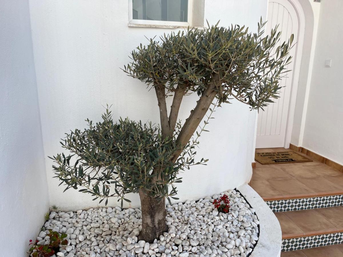 Casa Del Olivo Villa Almuñécar Eksteriør billede